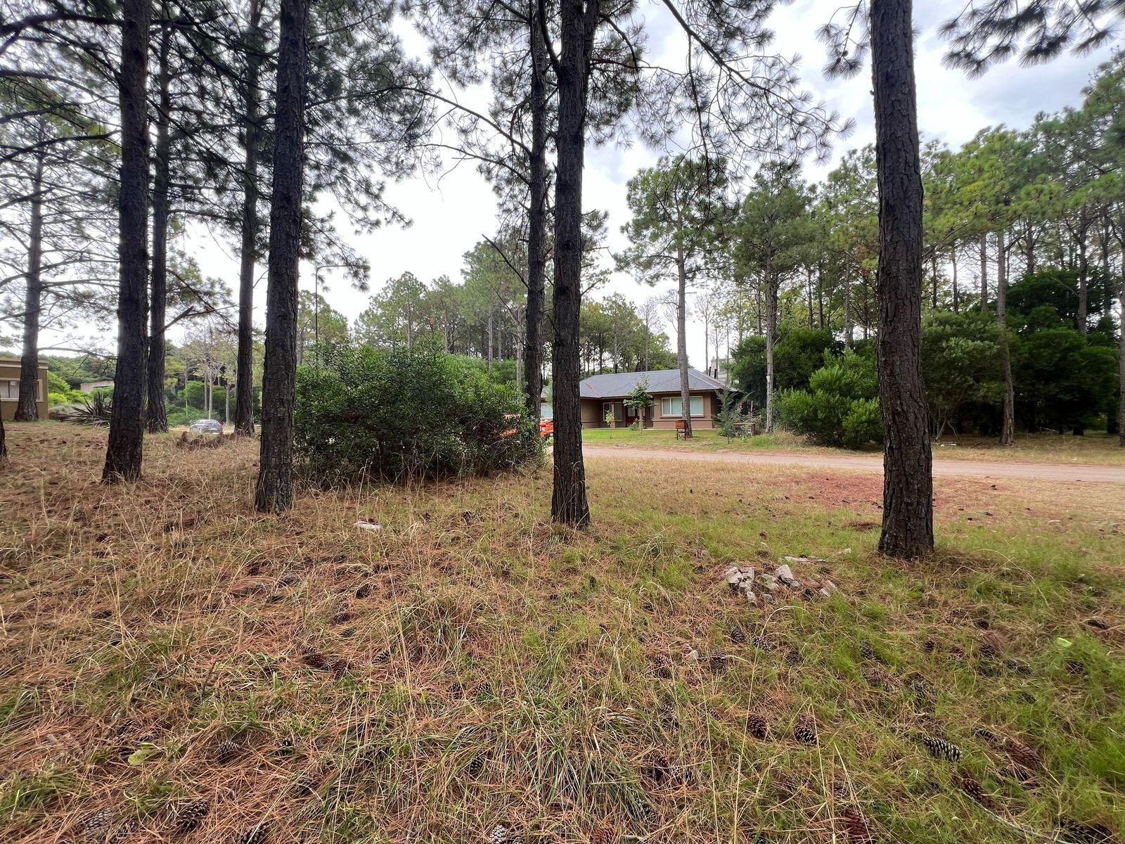 c36f0dd2b942afb031145fdc5b56ba79