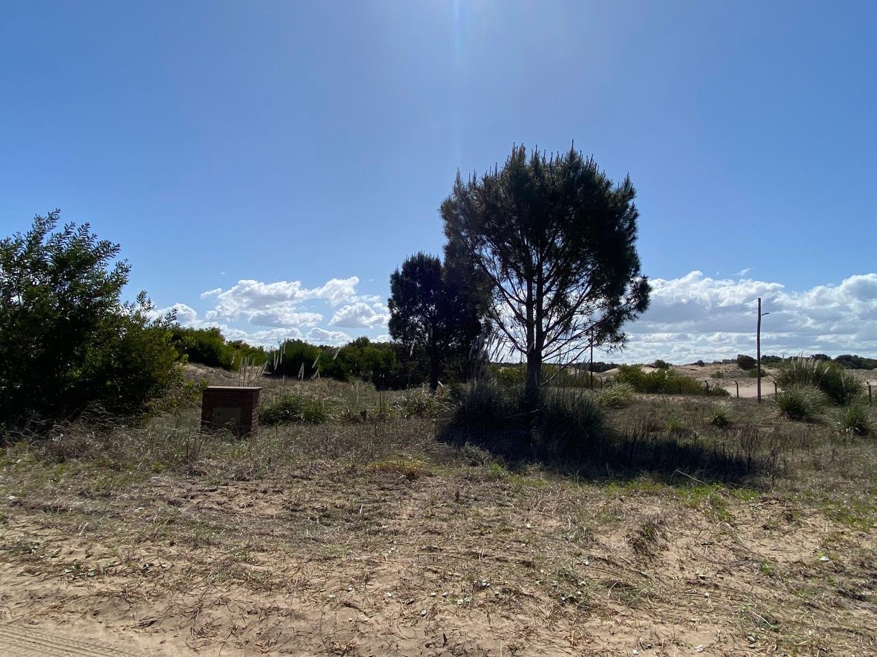 c37985cdaeadf8942fd3bdfb033fa89a