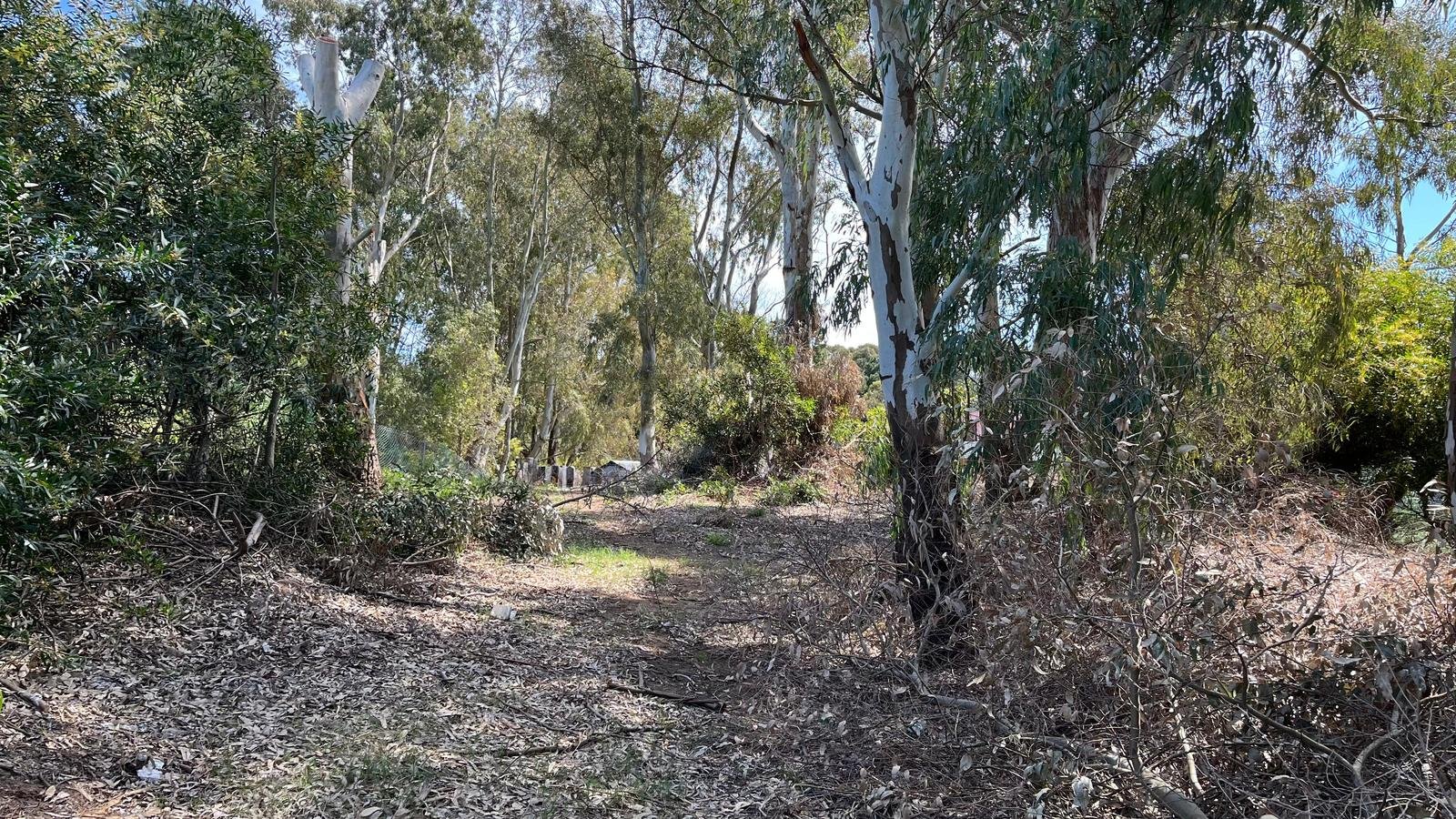 c55d028e8dccd013e5982e3bcb049b8b