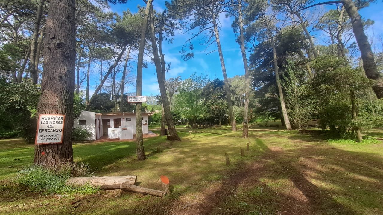 c69b50c7cd65fcc9a20c28571723dc6f