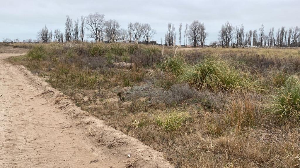 c80983f0b8b5c66c8a05682307c2afcf