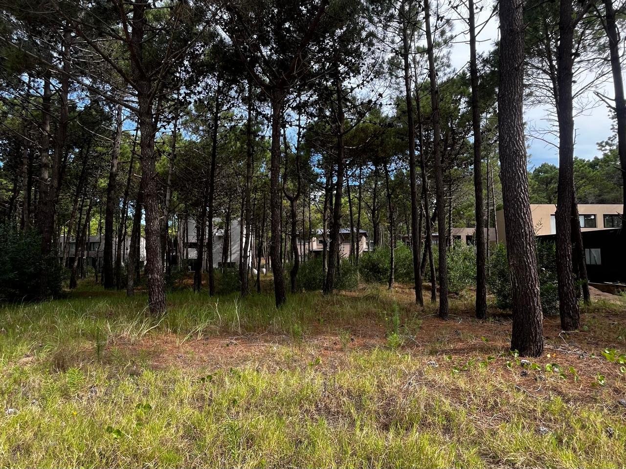 c8895866e284271bc0b0036f63853dc8