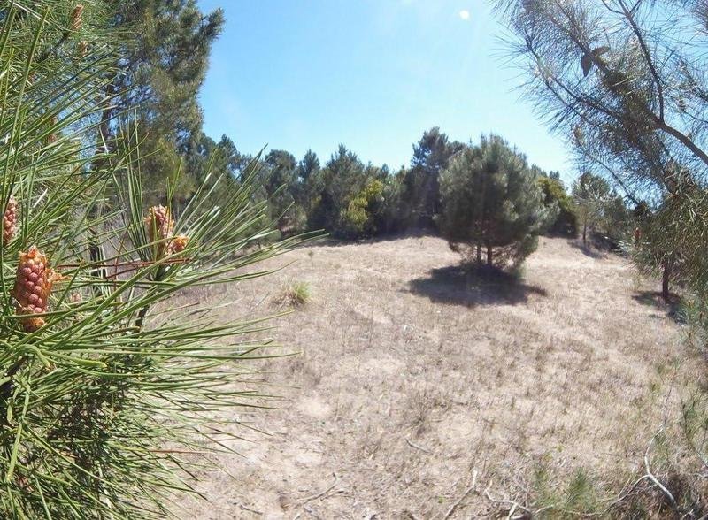 c91119e4a638345690df5cfb8724ac1d