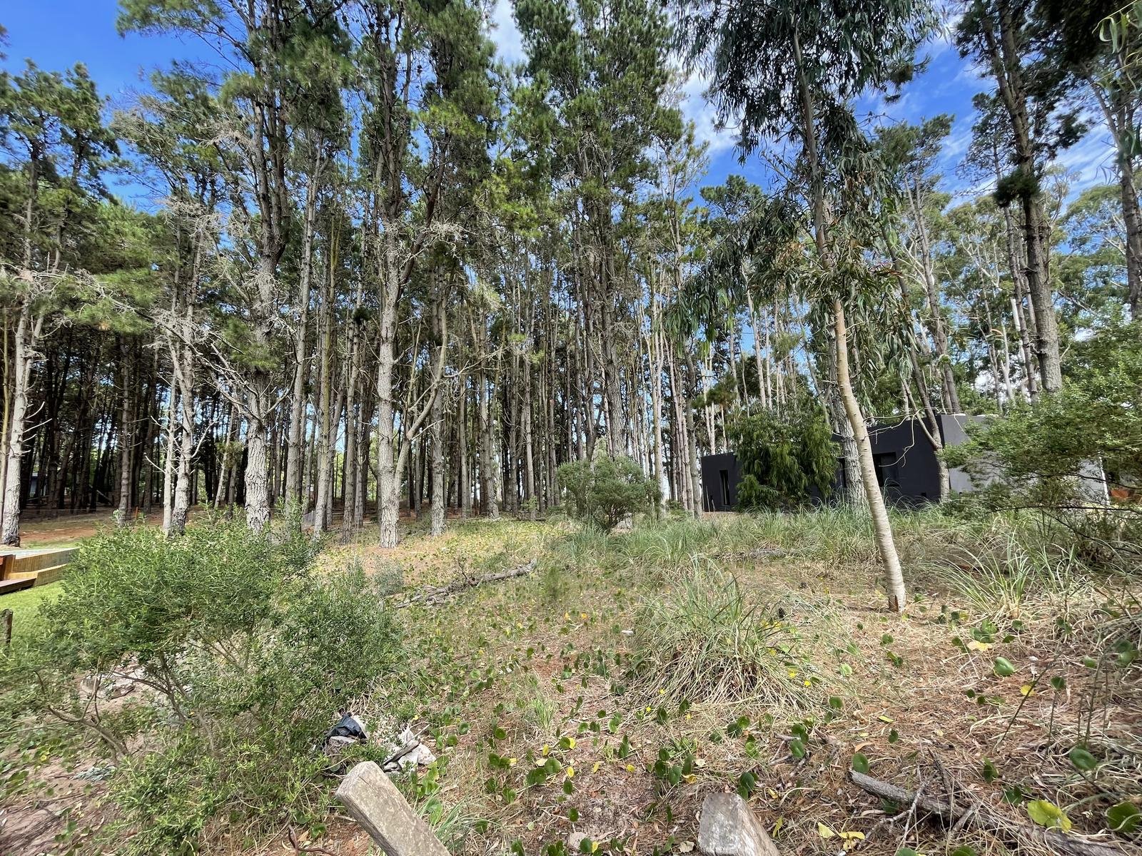 ca507ec0ebdaba5456392e46ec887b4a