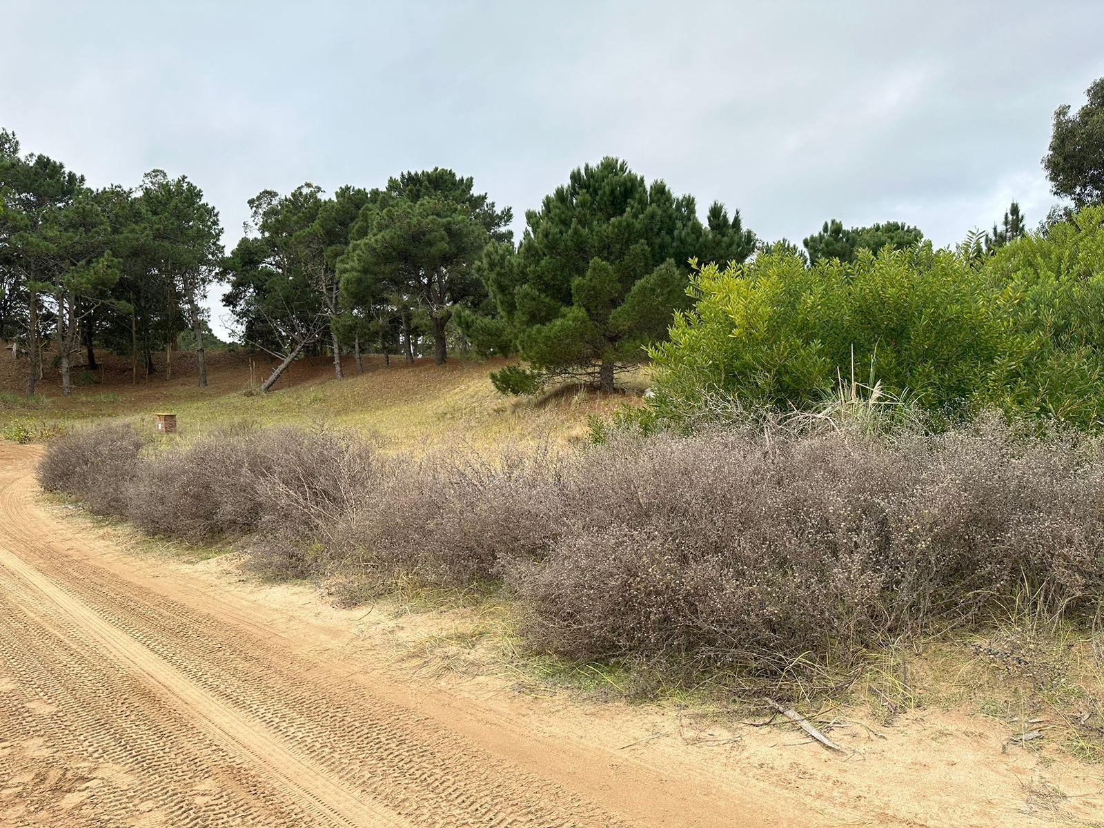 cbcc8258fcd07cbae6d88a2f3c4f0e4c