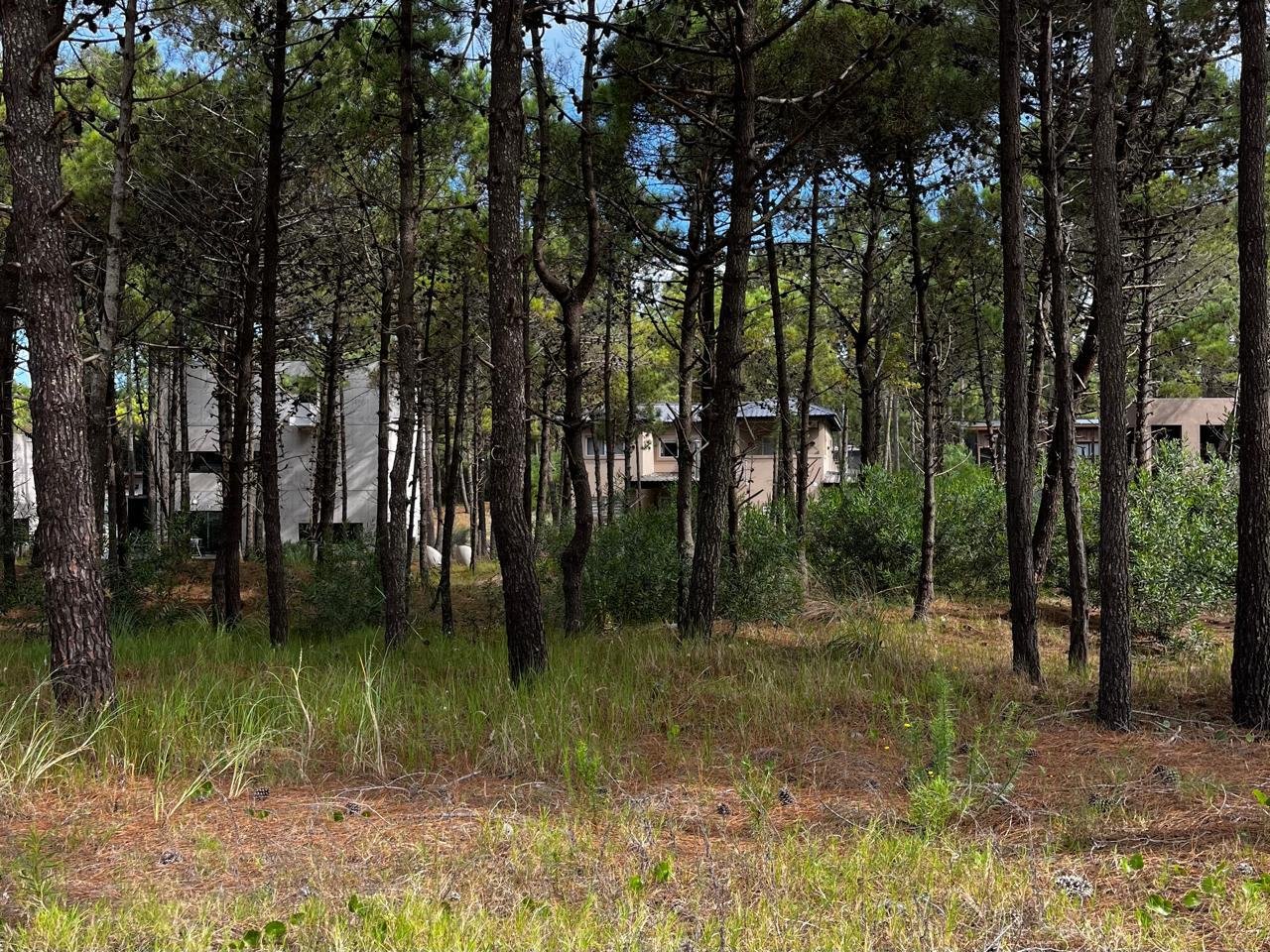 ccd4d37ce79401d19e1028a167ac6a4b