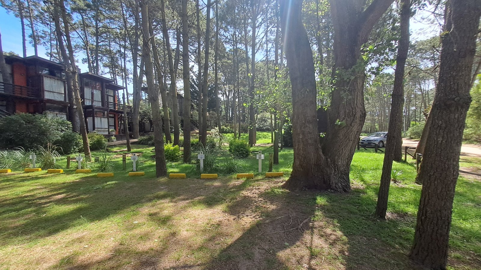 cd0d27caf3a93ed0aa0f0e85770f4a55