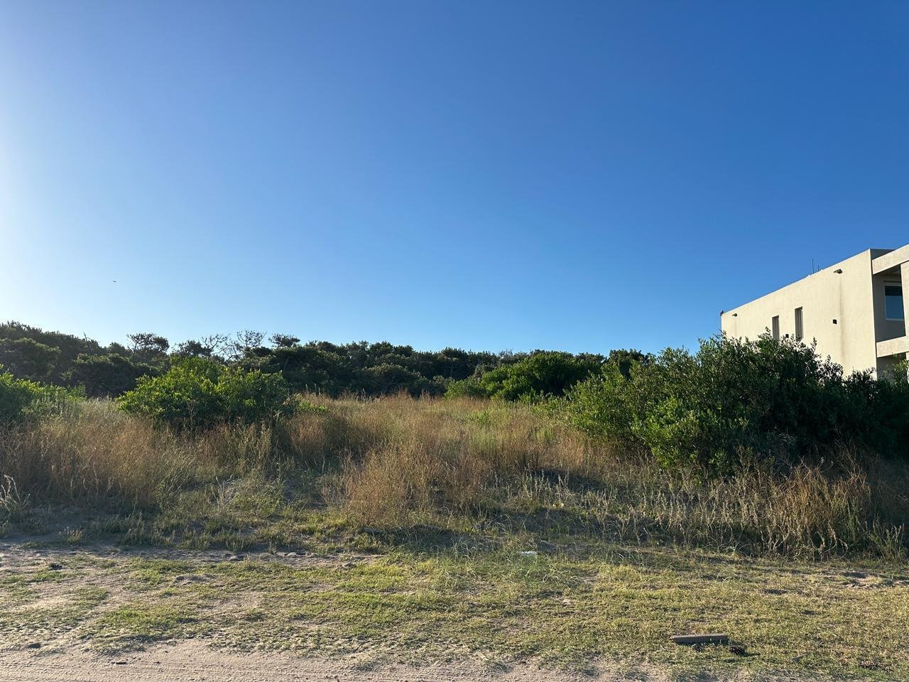 cf1900a7dadc492c944fc138716e5e02