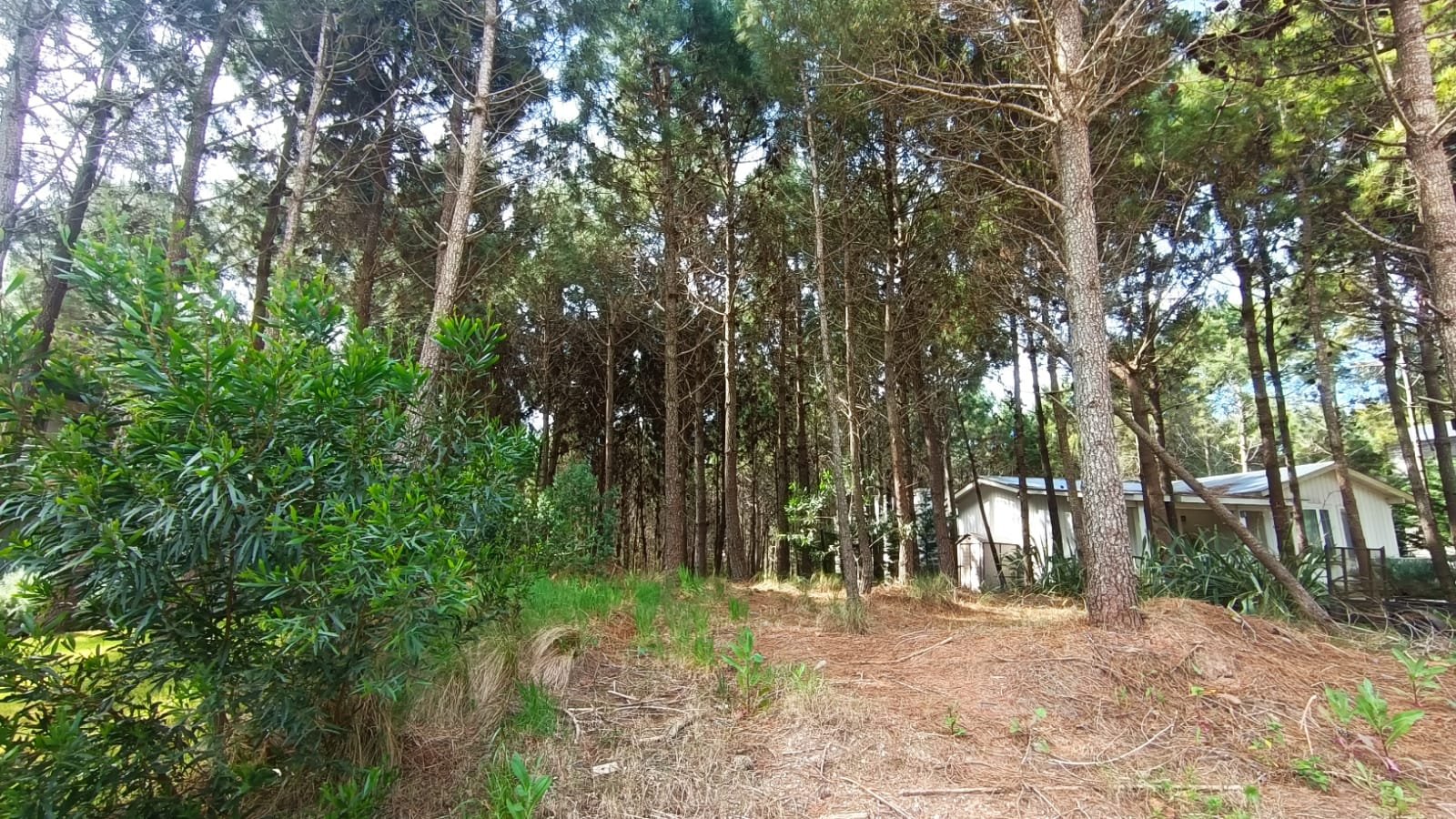 d0e2a6ae2392d3dfc0e15413bba4531c