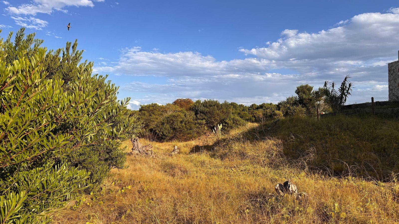 d204289686d89821a9269829fae38772