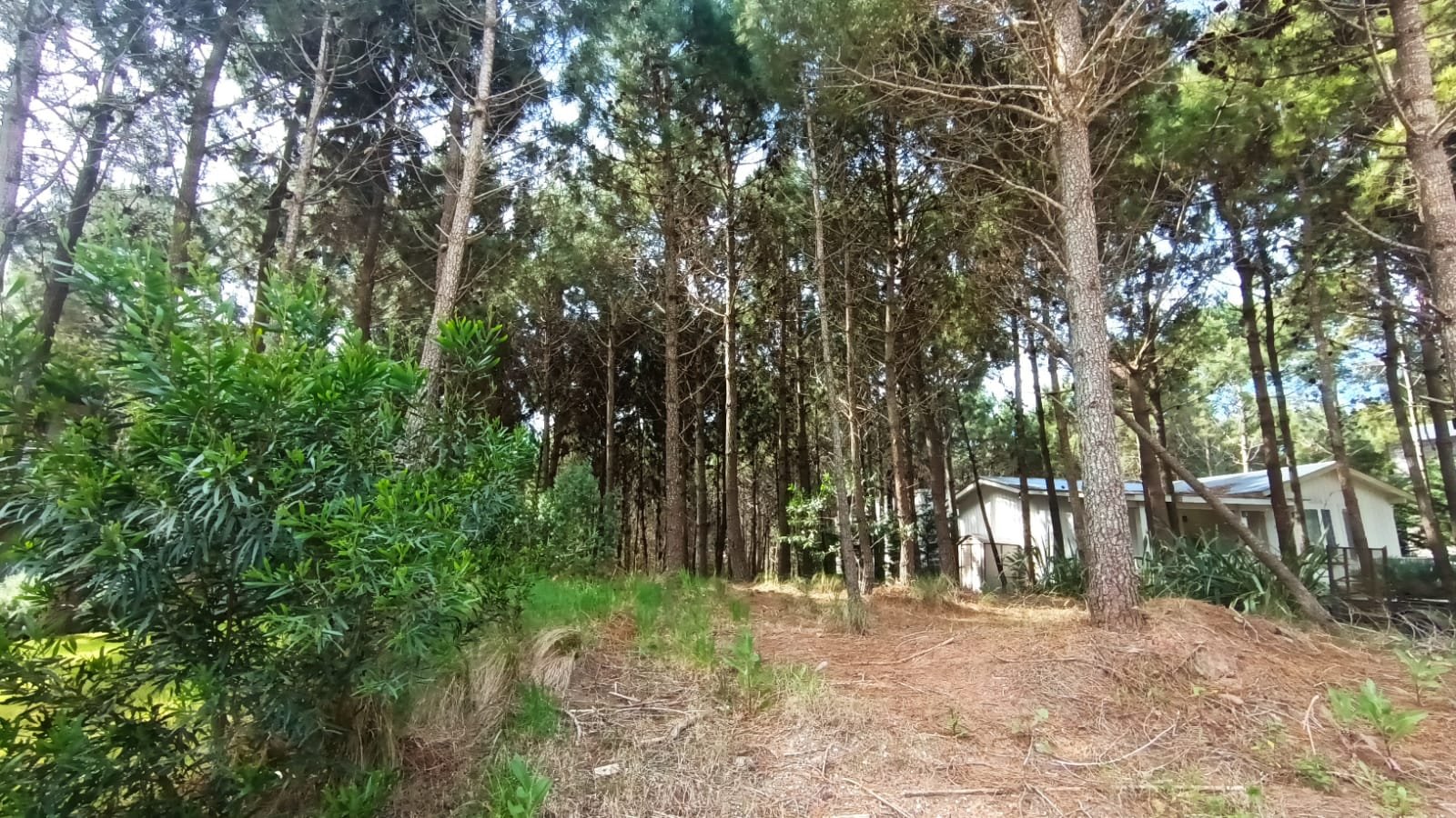 d2c97c17c2c5e36bf432c49d14c65fe4