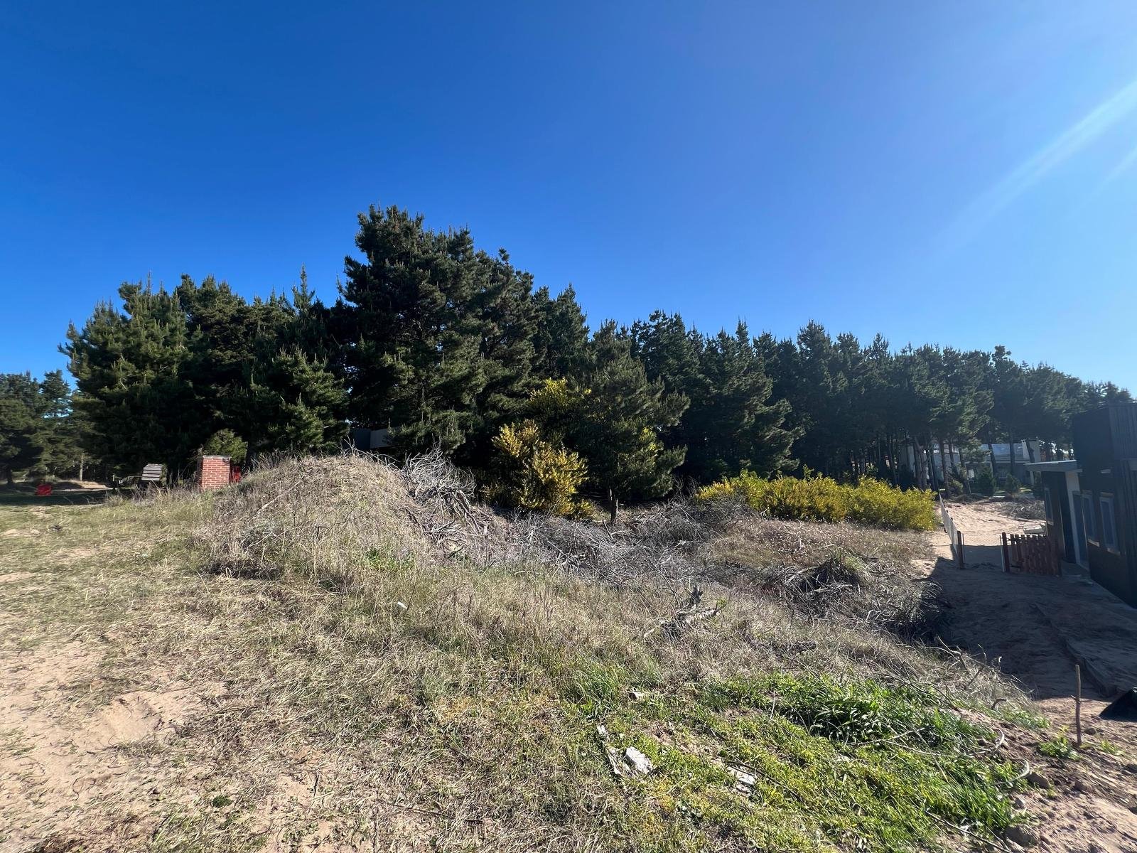 d4a1b2f581fcf567ff31eb85abe65375