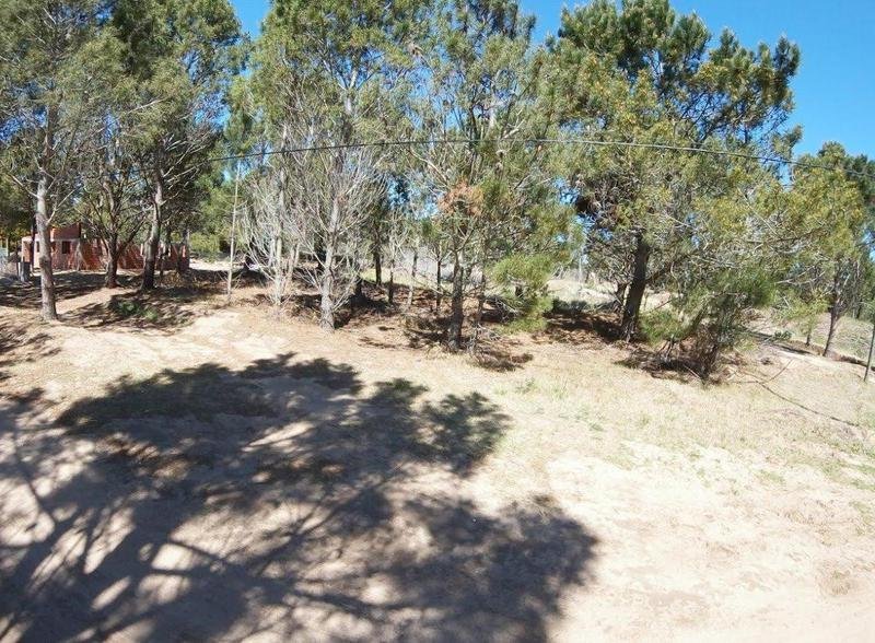 d53b6264a95eed44261e8431788a9a4c