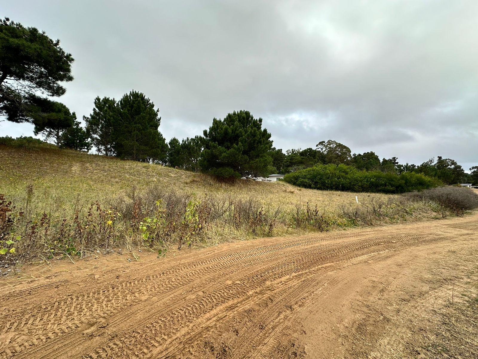 d7d58f7a16238e62fcedff66994f376b