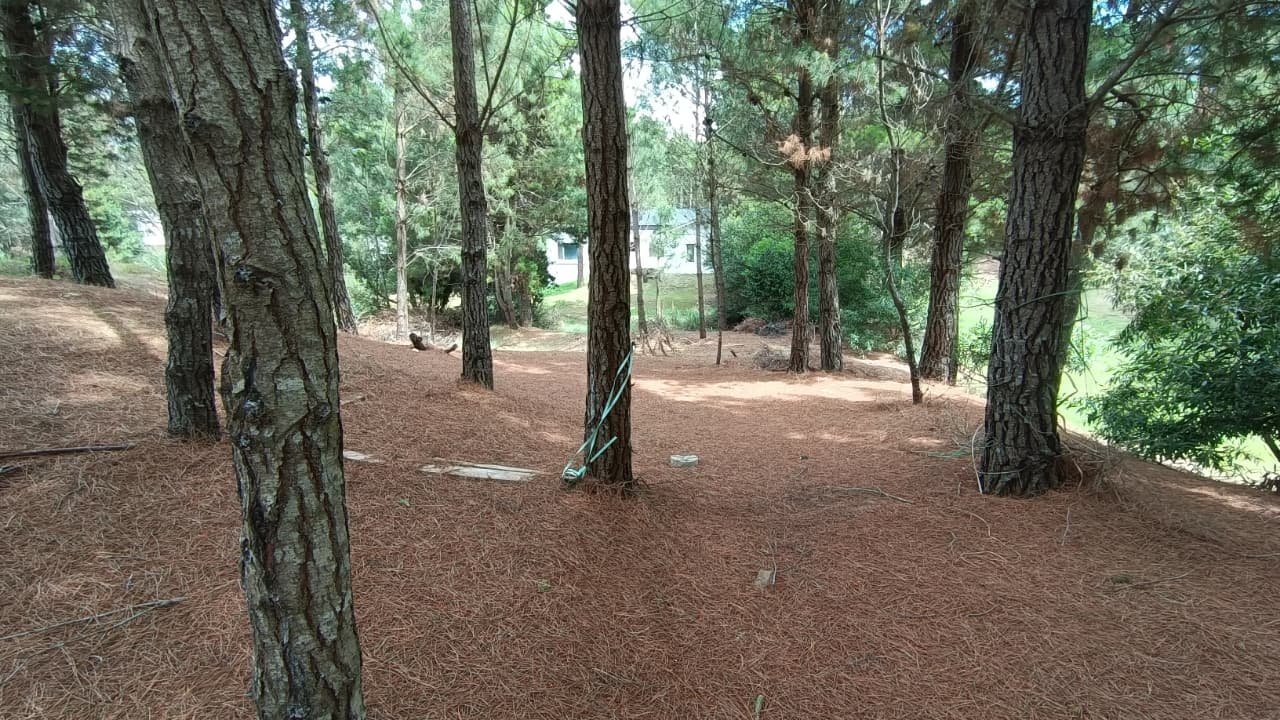 db986d7a0cefc24997e178460ffd31d6