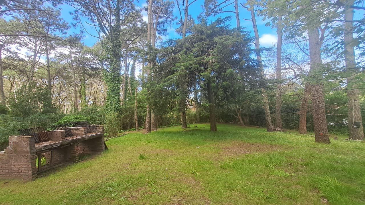 dd4aa27e35f499696c06b11e0a165862