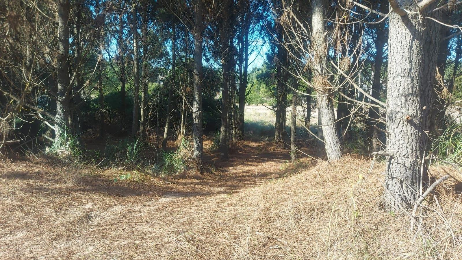 de3b26b877cdf2b0f767511123ed5e1e