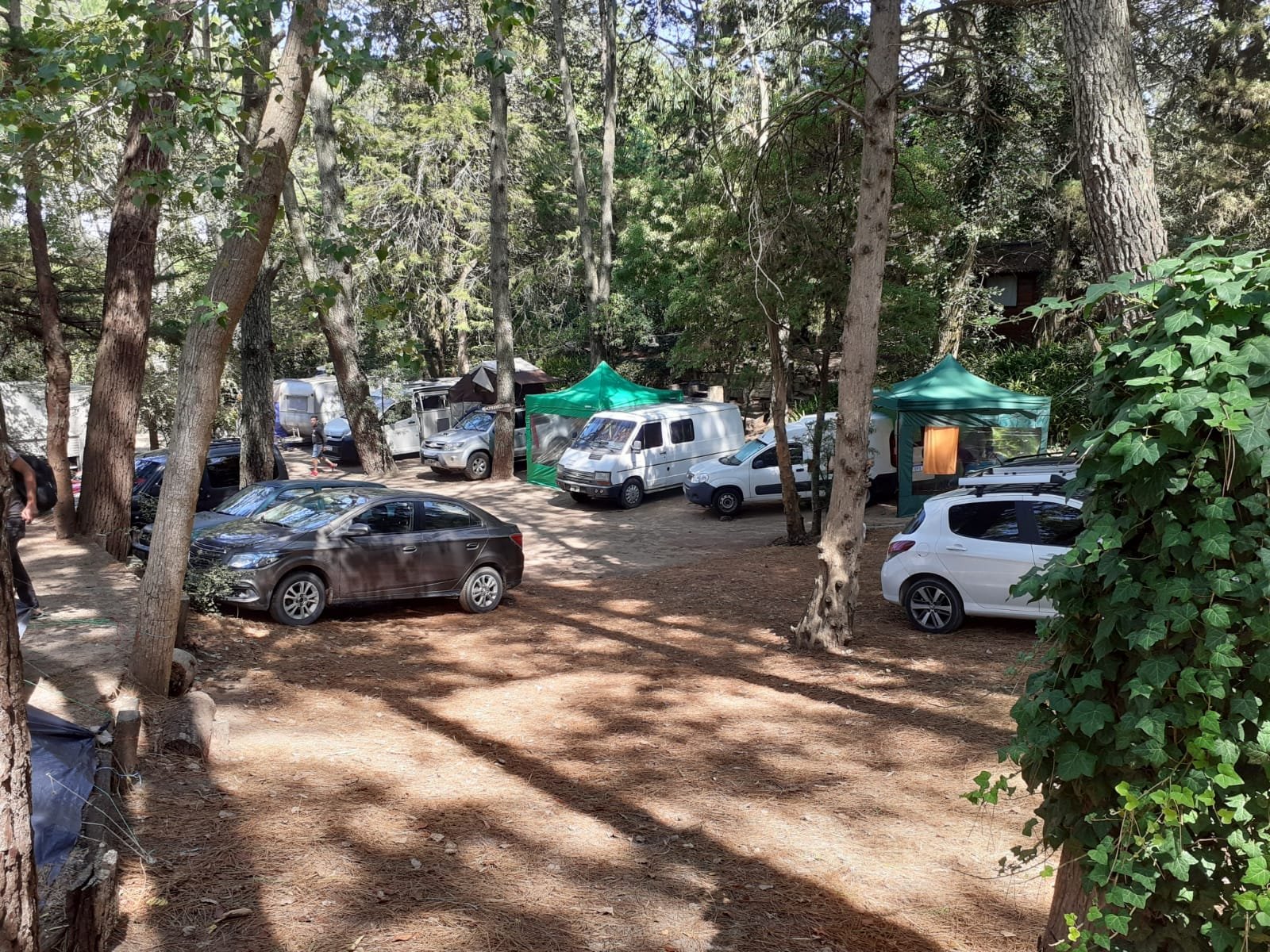 df7d1f53f12d42c860f0067cda17d439