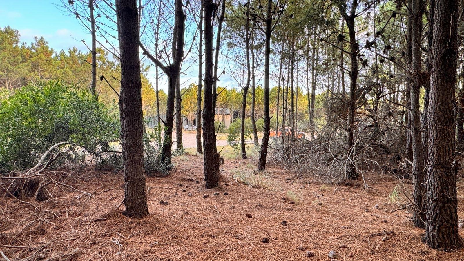 dfa13f22d9621f658bf63105bf24be23