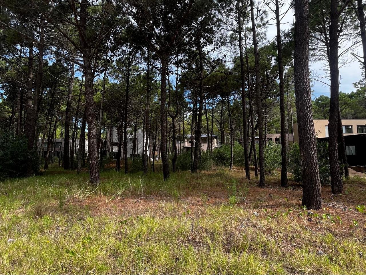 dfab187acfeb4f81f16067804e58cd82