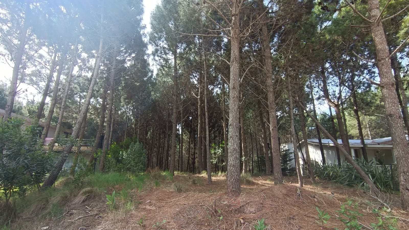 e07b9e60b4876dce5e1b88e3416e21d7