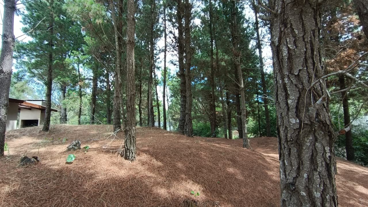 e16acf02fab0e904799bbb161aabf44b