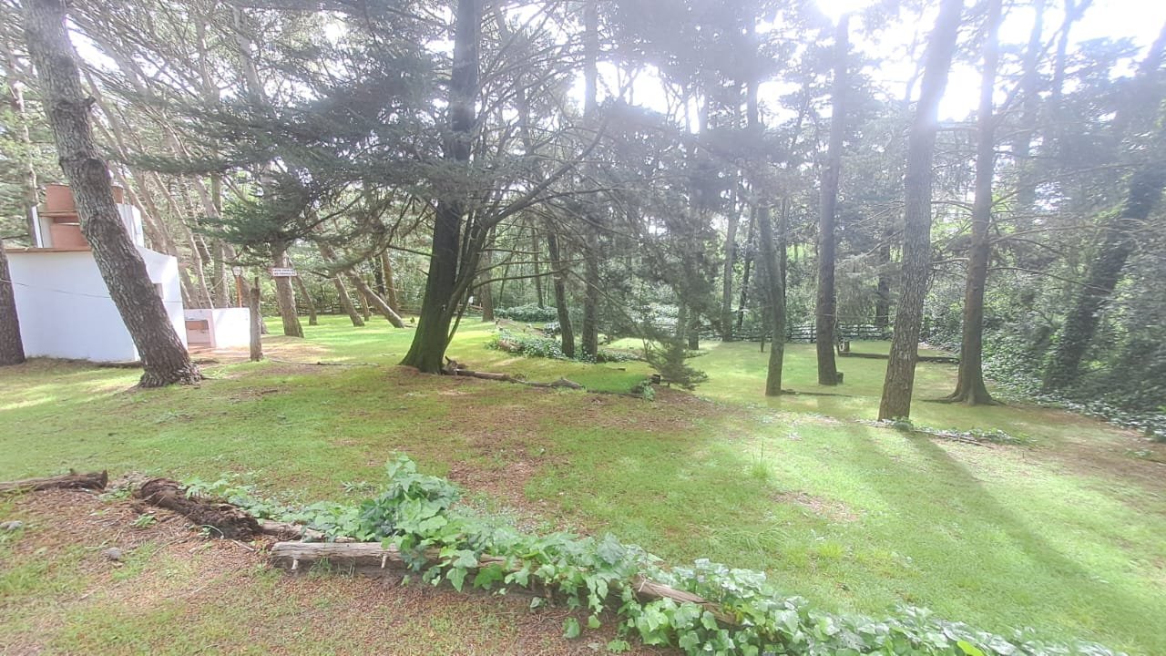 e20877966ec49e77e0b546e3795aea7f