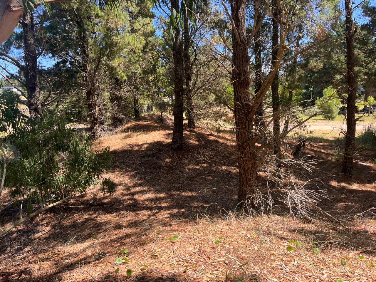 e2f9fc8106a459cf5c720556540611f2