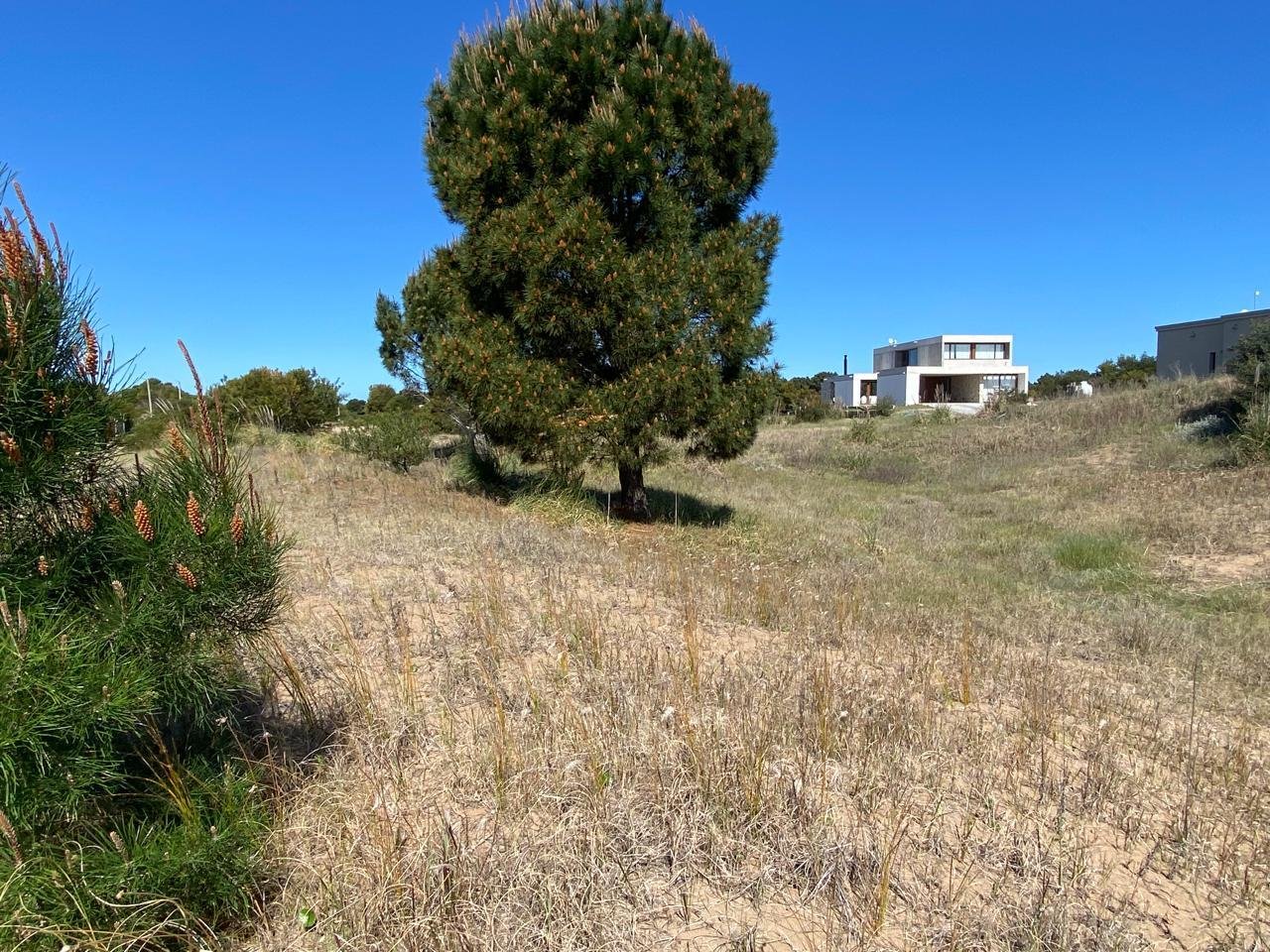 e5d9696827cbf781b6cf6387fe4417f8