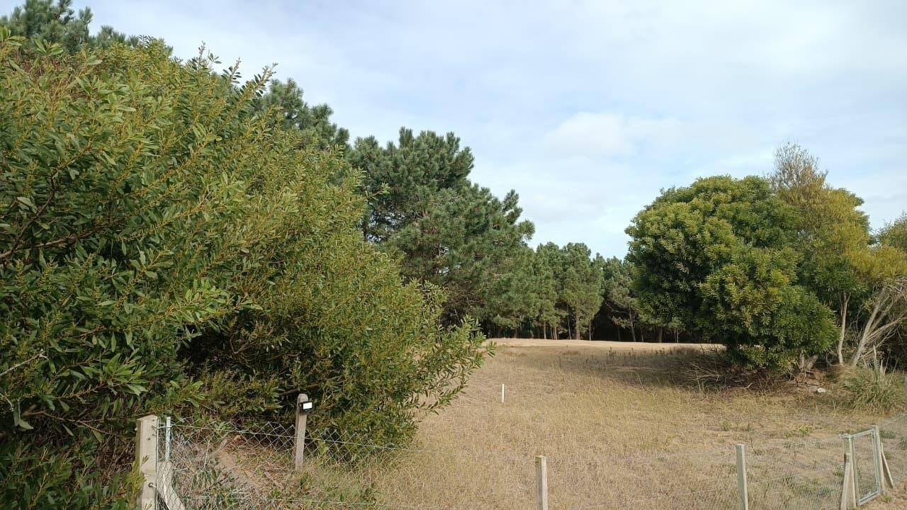 e7d59e75be5648dd23df88fbba77fc92