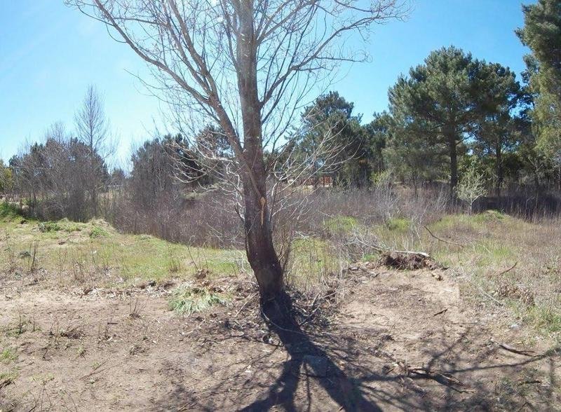 e7ed5499b4e9f6faa31953bc8c87424a