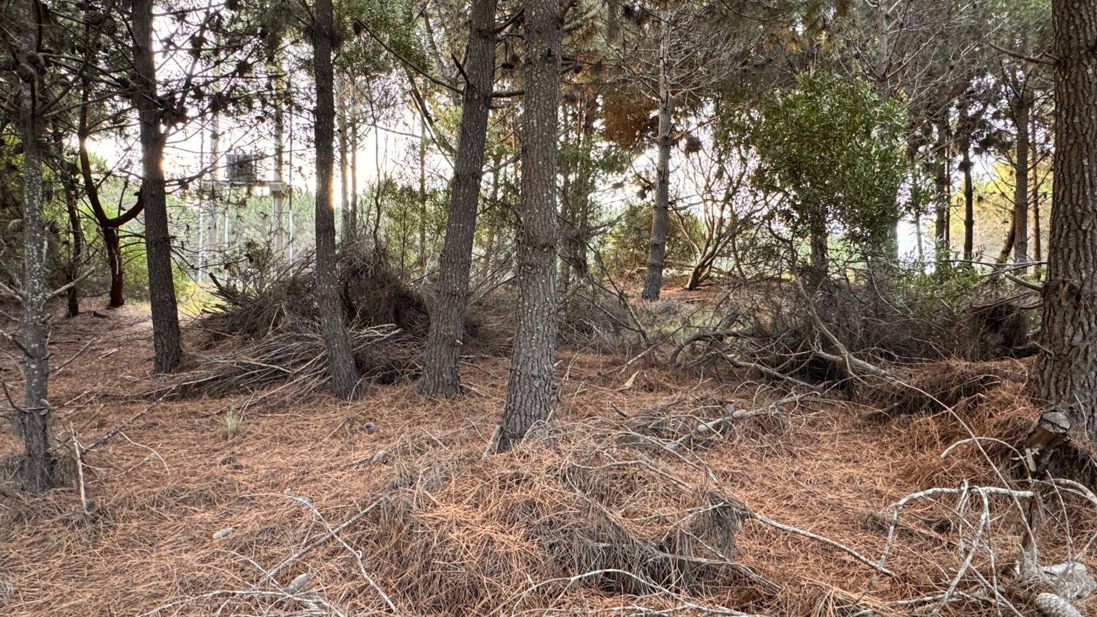 ea8721eedc417862826ed0054c2eba0b