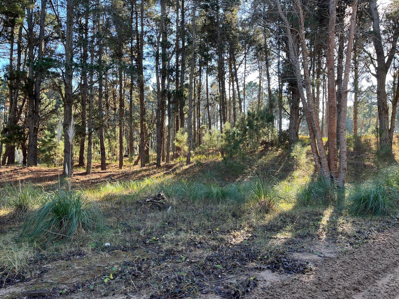 eab3fce08ae806c4111292f8208d1f6c