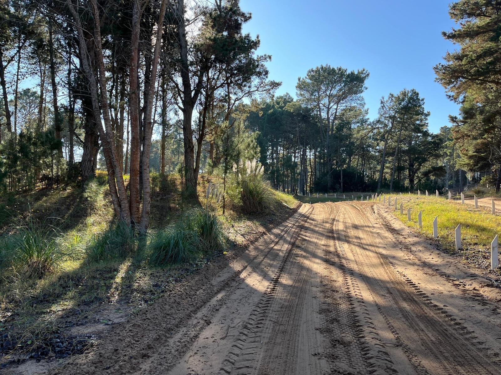 eb3f90d3b80ad4989dddf7fd4fb7a359