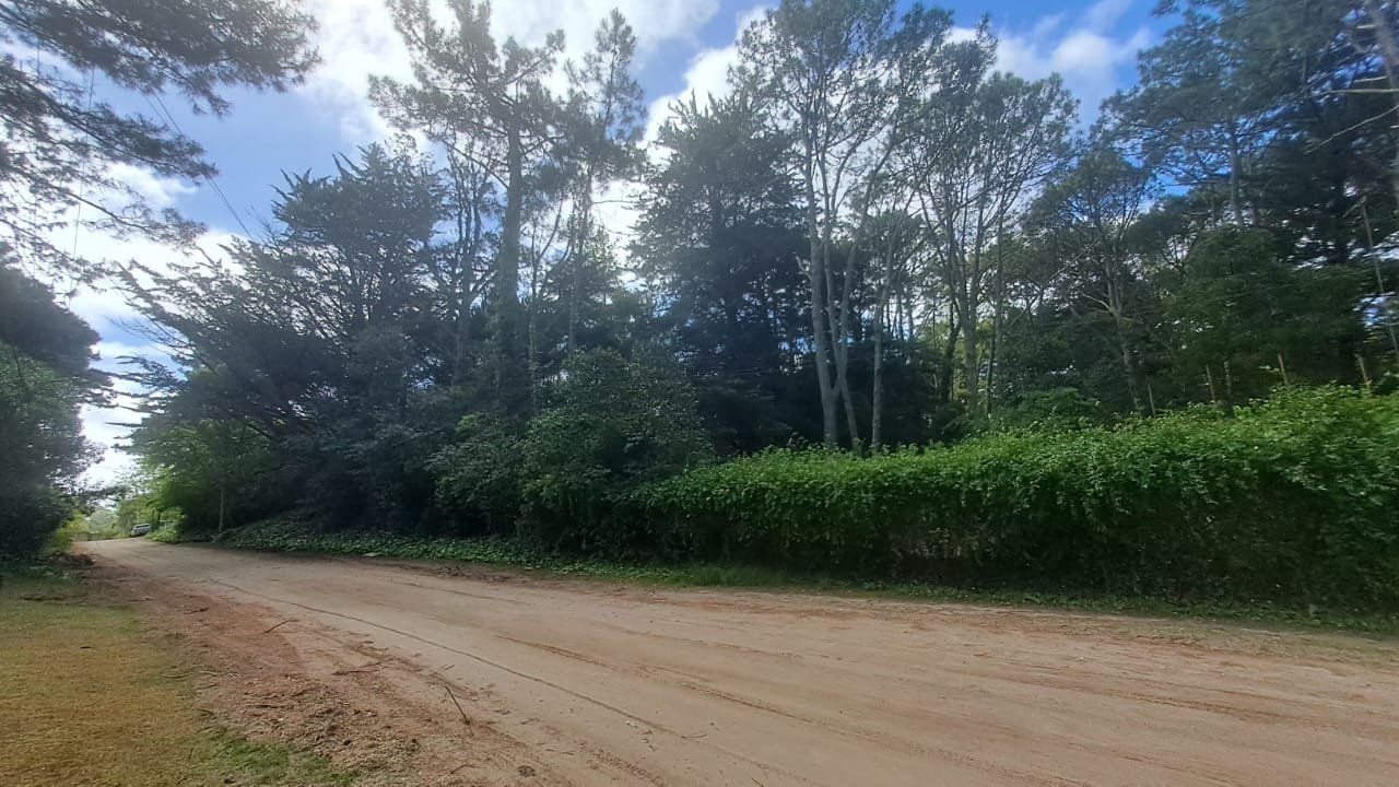 ecc754889f13365edfa0824bea7a78d0