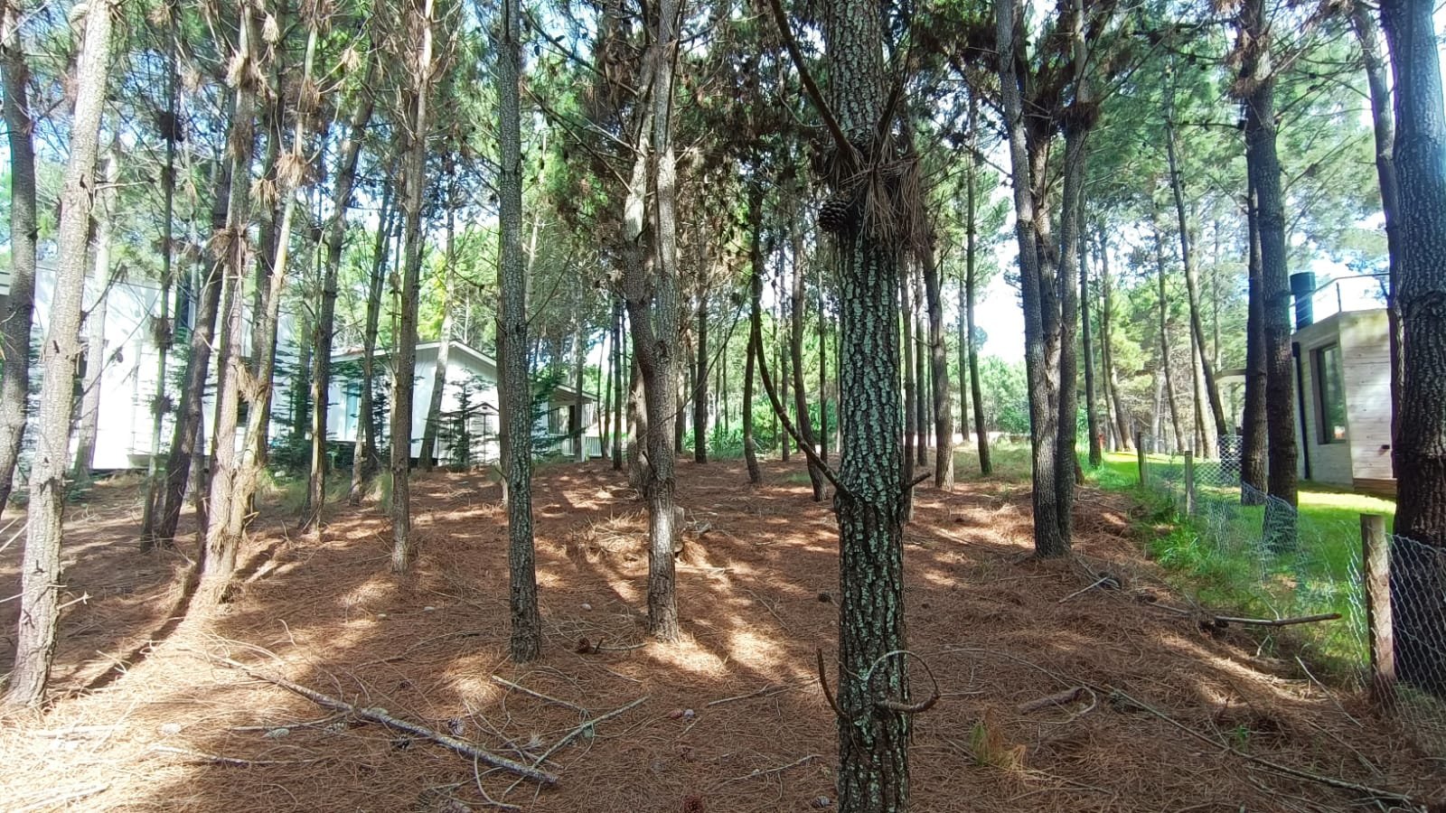 ed0bf071a573d97a05c8d2c135ac39db