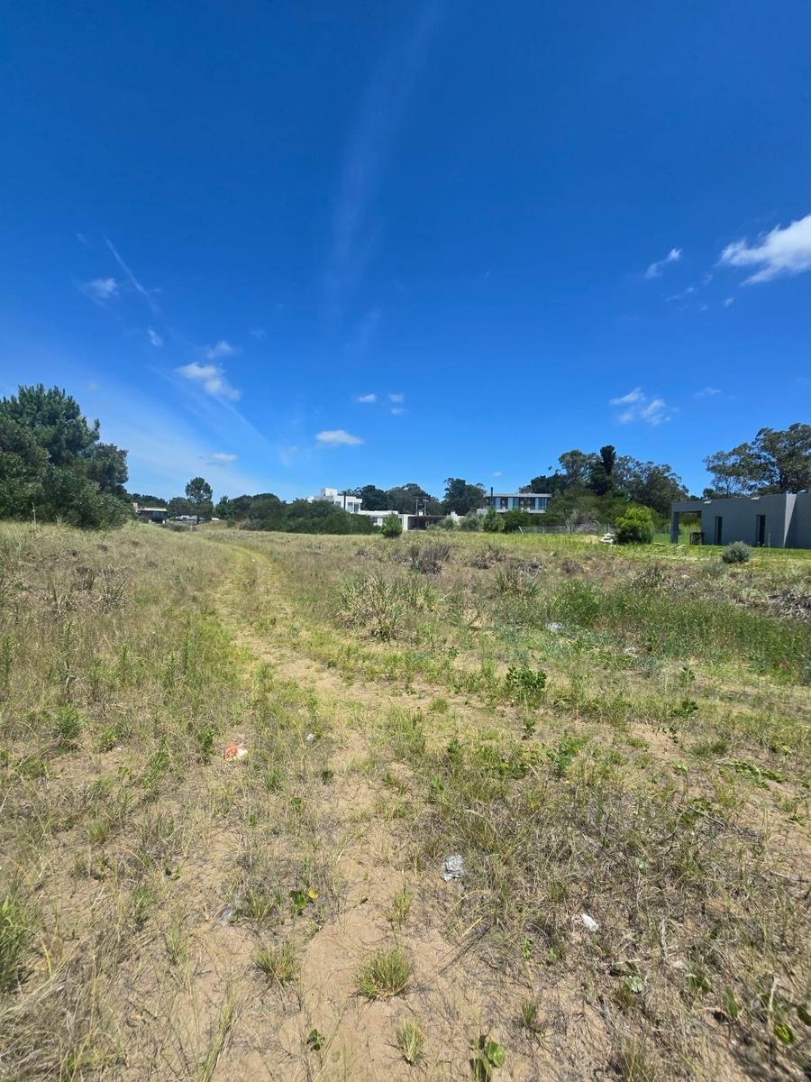 ed203192ce890dc34d9f37046f448471