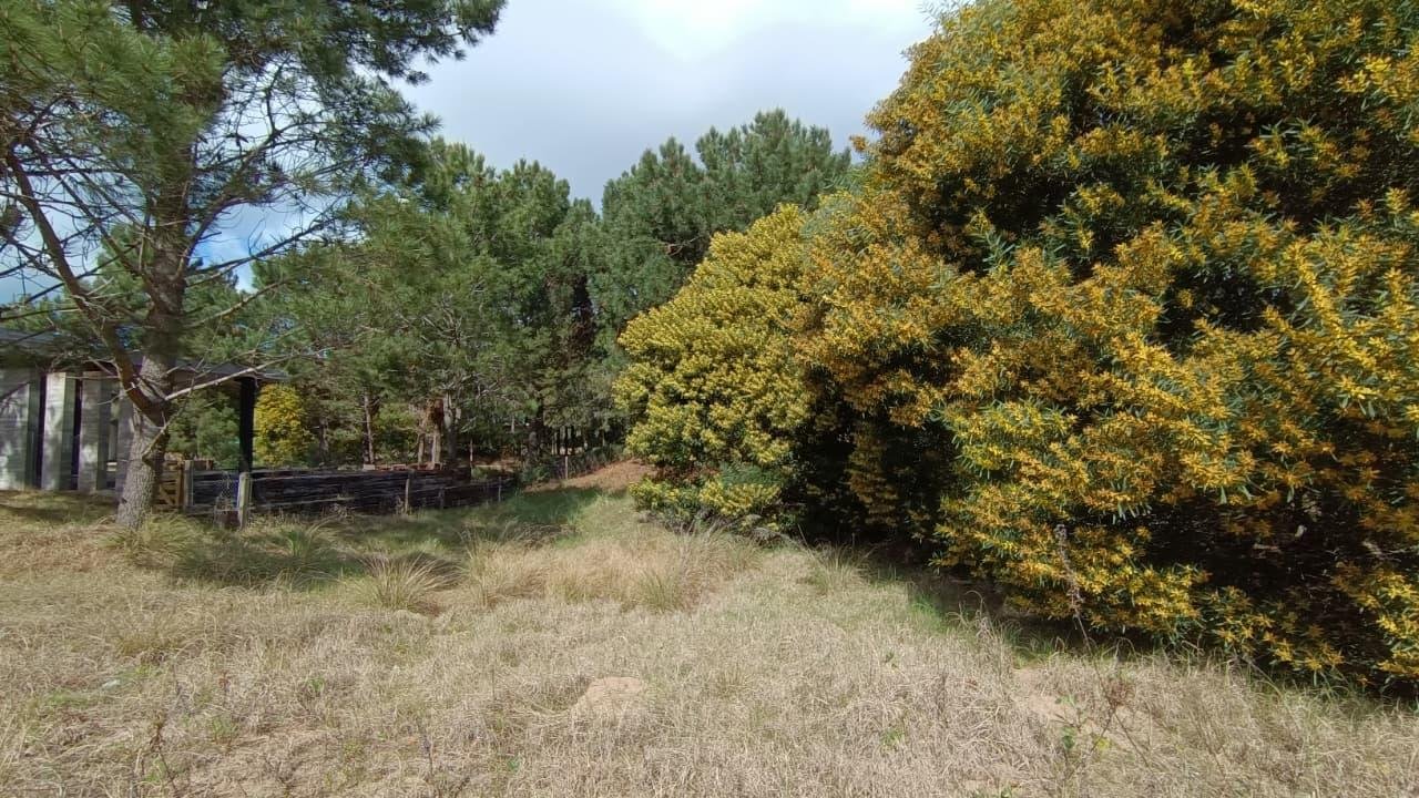 ed323a8b2ce9be83ece7fb7dbd6f206d