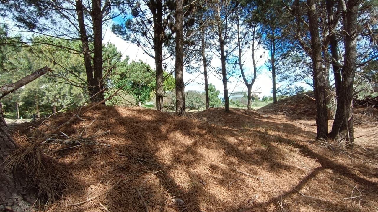 ee4c3efc32f3b560694c98ced5224f7e