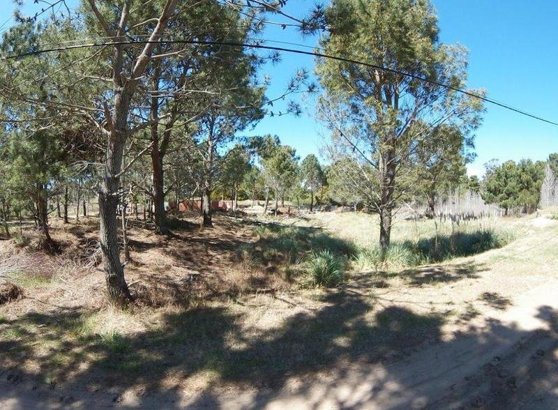 ee5c511813e67531863f22b28548709e