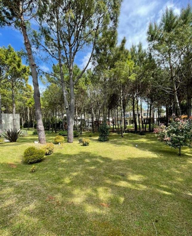 ef0bb8db5dd93d1542b46951df2c7437