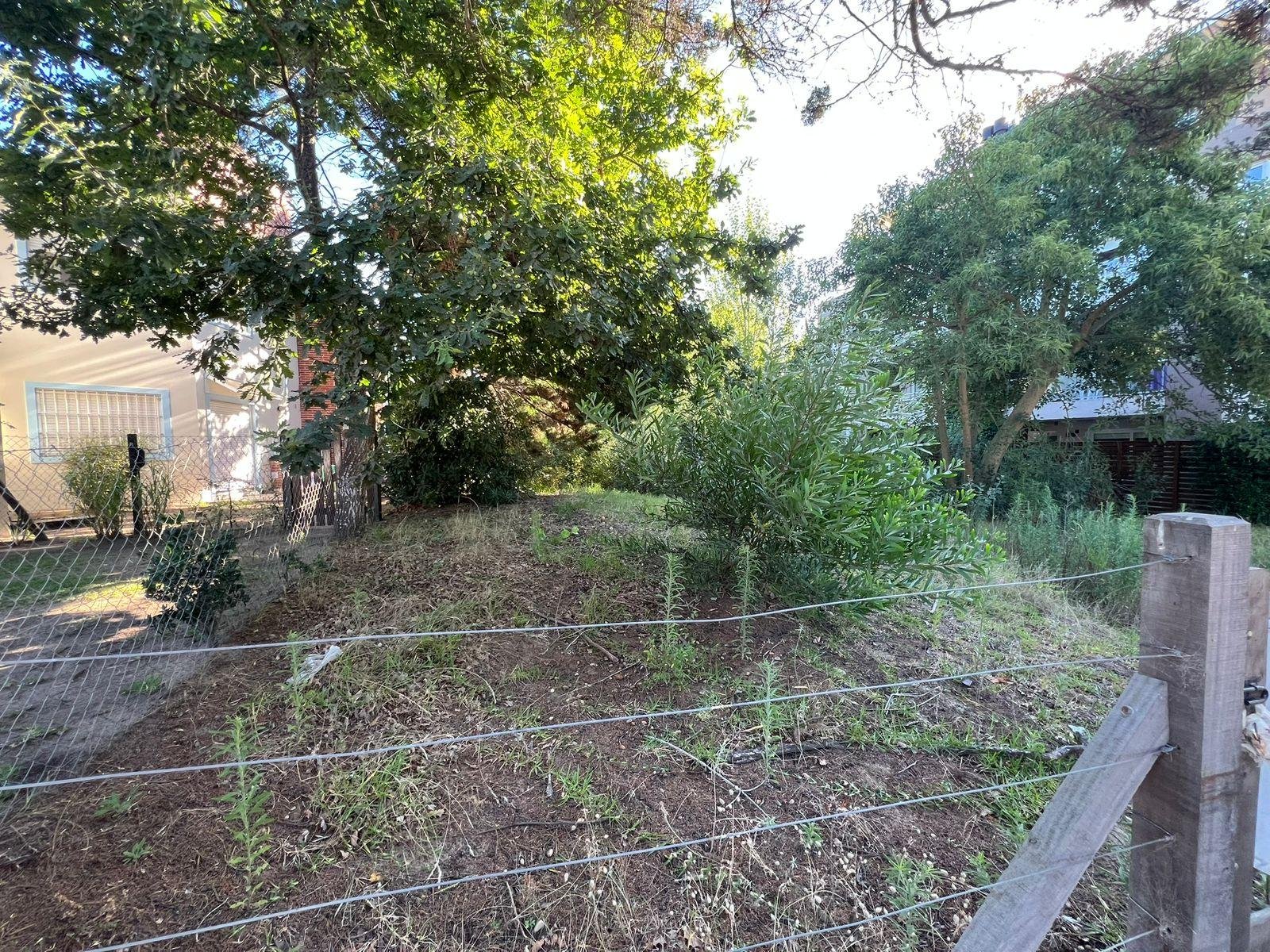 ef6679b564c13b290607498f66ba20e7