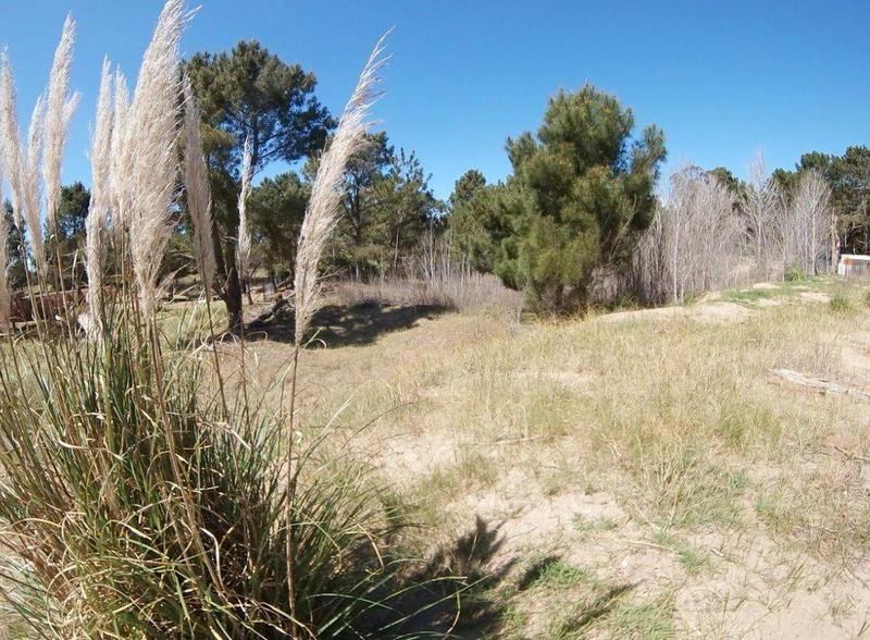 efcdee995df1e7abcce74be82c49e4a2