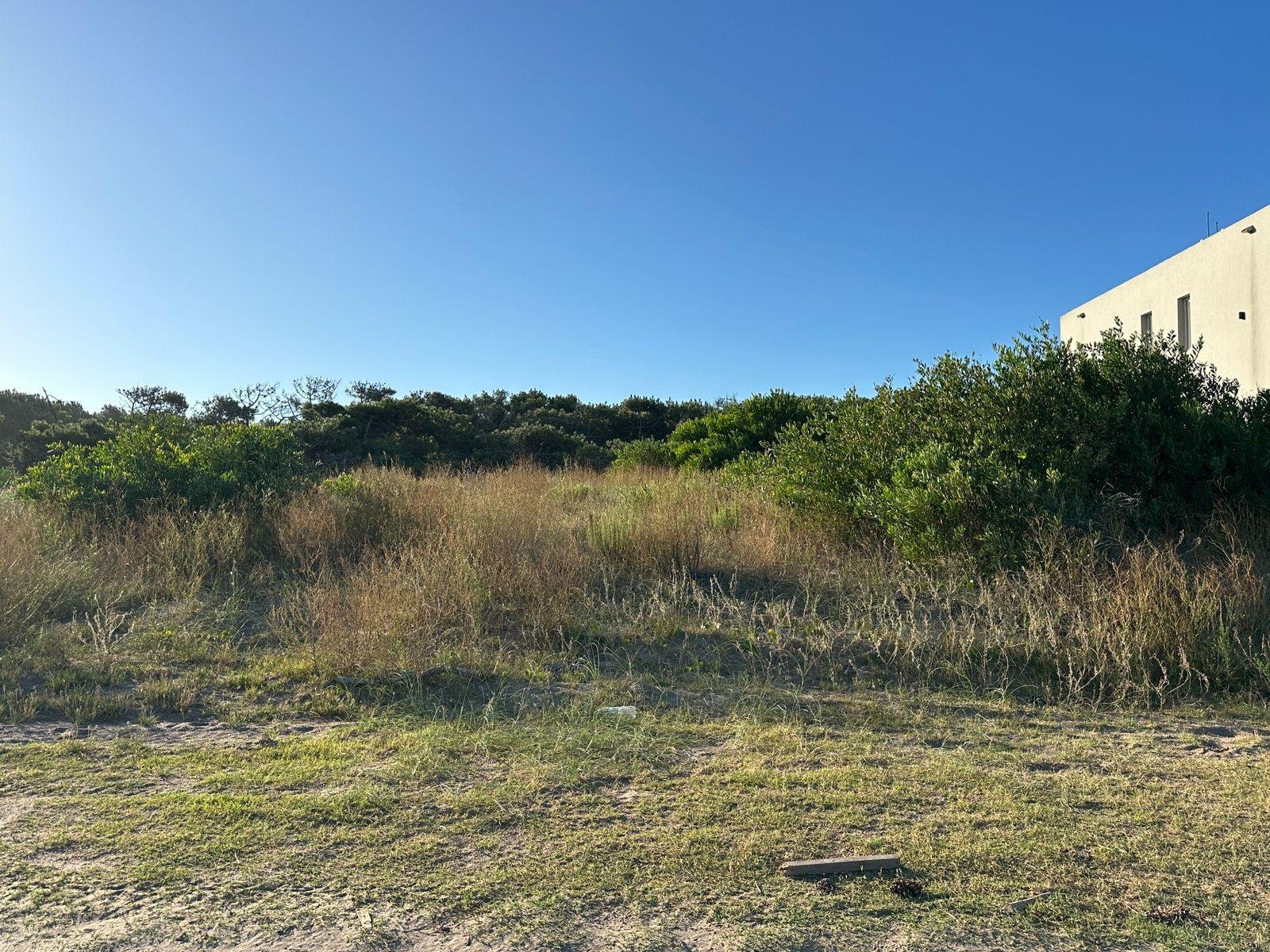 f2160a2be288243d011789a12643f87a