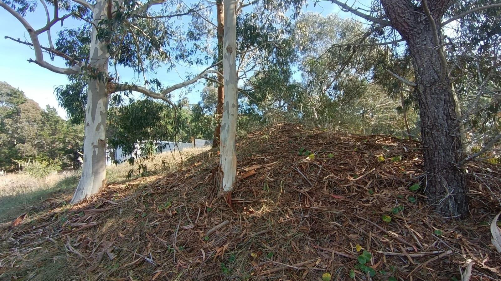 f291d91e977064be9161d95f9d870831