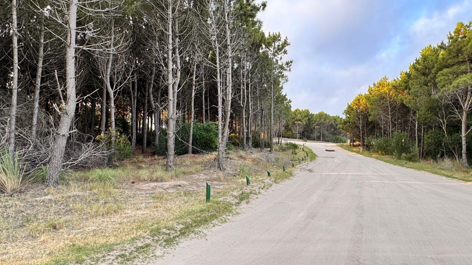 f3b5337876720868d1d1f30c6b047d35