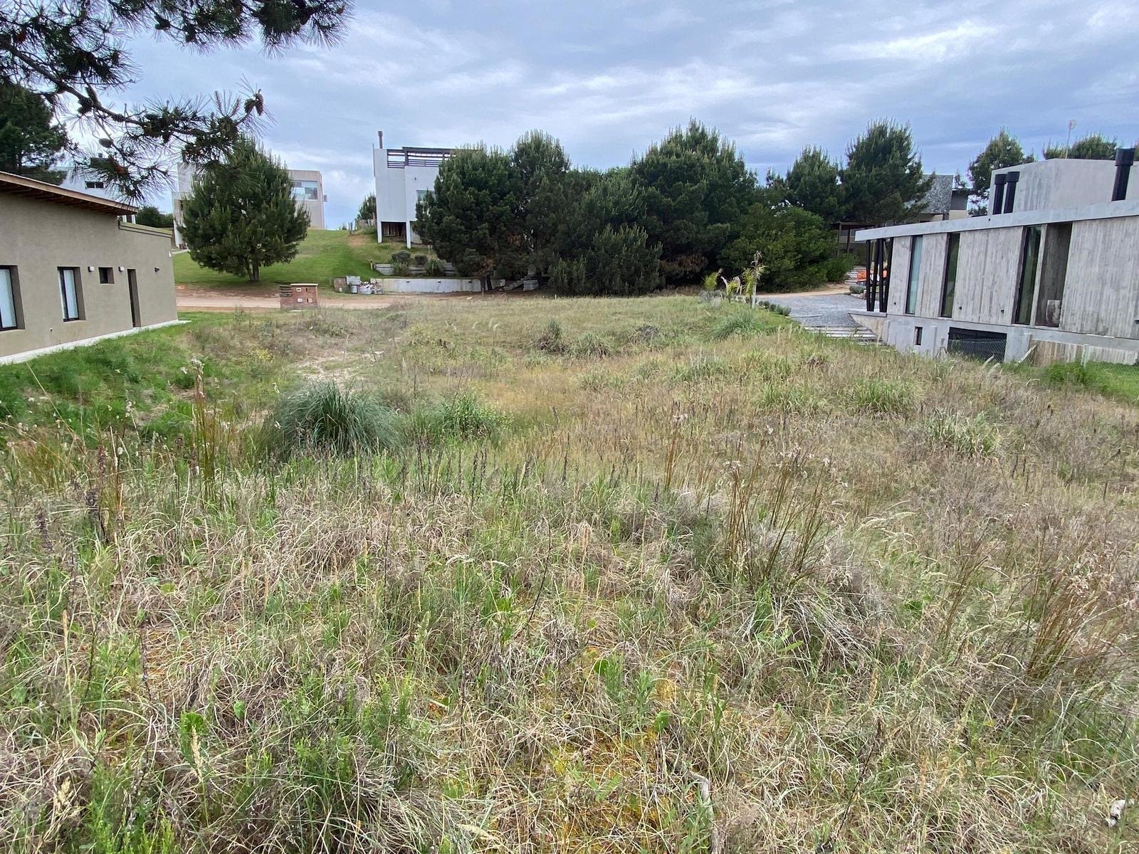 f6865acae990765f7ad1ea42ae63bbcd