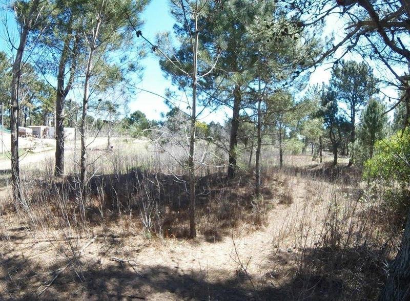 f6c4eae43da23b797471f08a1be1b268