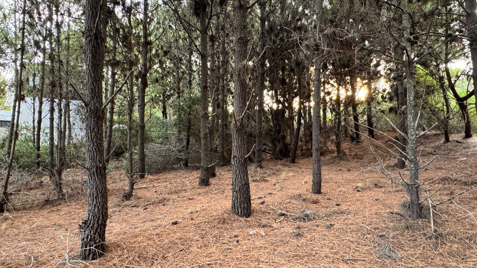 f70cf779e2f1542fad565c10ef7c5b53