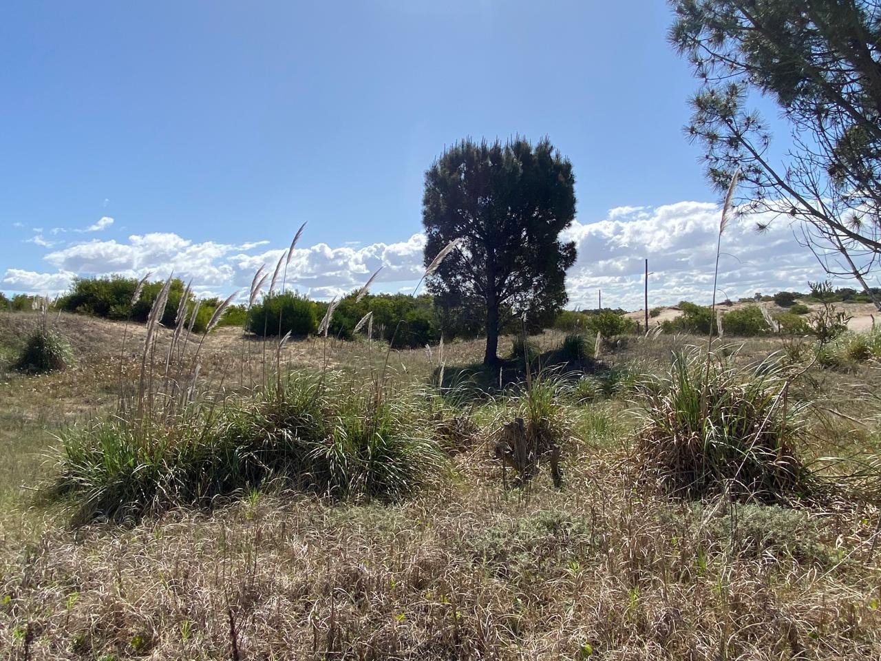 f8656491b141cbefb8167882df88bc2a